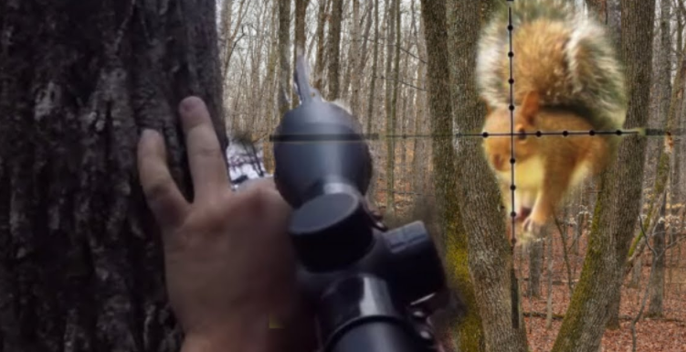 Why Should You Buy A Scope For 22lr Squirrel Hunting