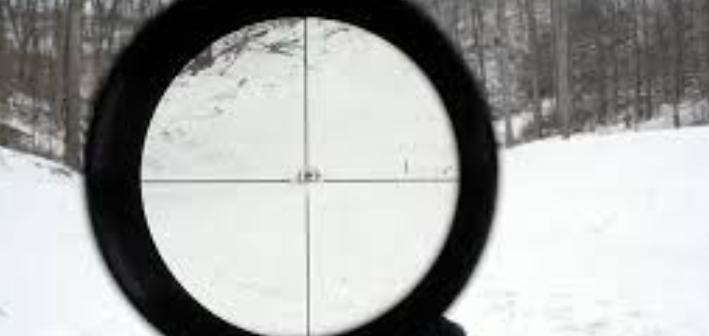 Who Should Buy This Scope