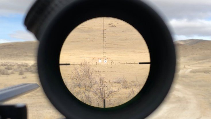 What Magnification Should Be Used for 1,000-yard Shots?